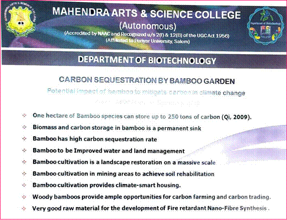 Mitigation of CO2 Emissions by Bamboo Garden